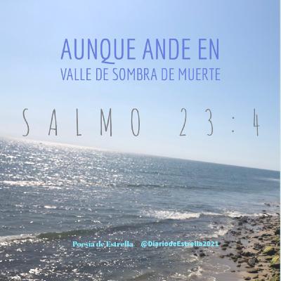 SALMO 23:4a AUNQUE ANDE EN VALLE DE SOMBRA DE MUERTE. Devocional de Estrella