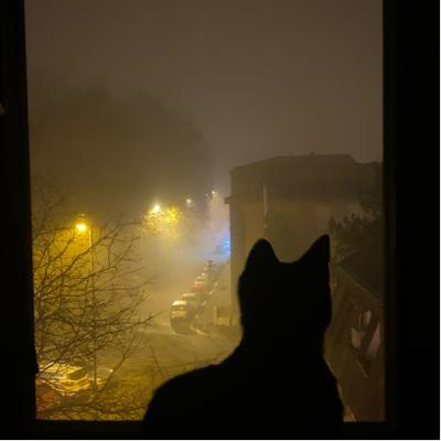 Odmori se od sebe samog, čoveče