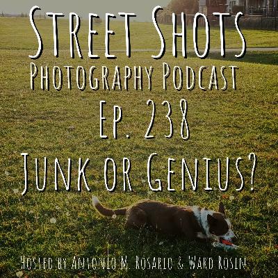 Junk or Genius?