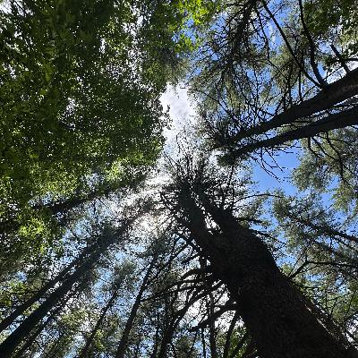 124. 【茵語綿綿】付出與復出｜暫停九個月後我想分享的事...｜初心與許願