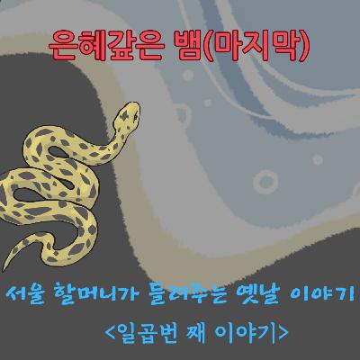 은혜갚은 뱀(2)