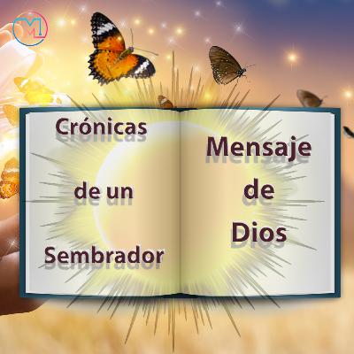 CRONICAS DE UN SEMBRADOR 5: Mensaje de Dios CRONICAS DE UN SEMBRADOR 5: Mensaje de Dios