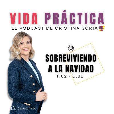 SOBREVIVIENDO A LA NAVIDAD
