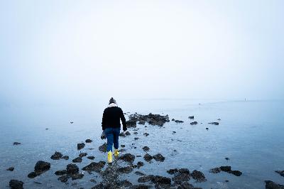 Foraging with Natalie Schrauwen