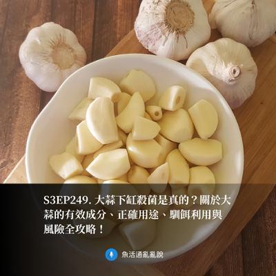 S3EP249. 大蒜下缸殺菌是真的?關於大蒜的有效成分、正確用途、馴餌利用與風險全攻略! S3EP249. 大蒜下缸殺菌是真的?關於大蒜的有效成分、正確用途、馴餌利用與風險全攻略!