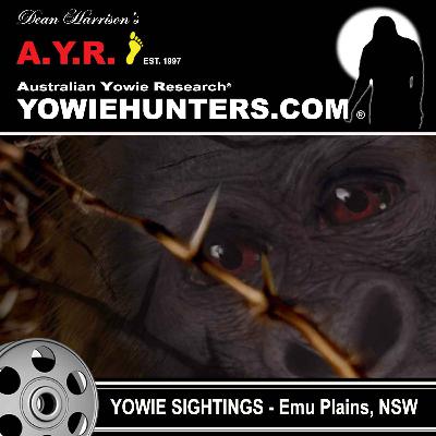 Yowie Sighting between Emu Plains and Glenbrook, New South Wales - 1991