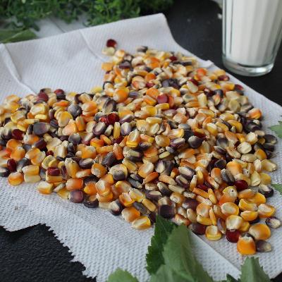 Programa 75. Gastronomía de la milpa