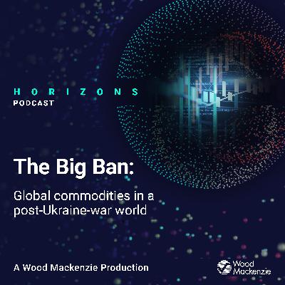 The Big Ban: Global Commodities in a Post-Ukraine-War World