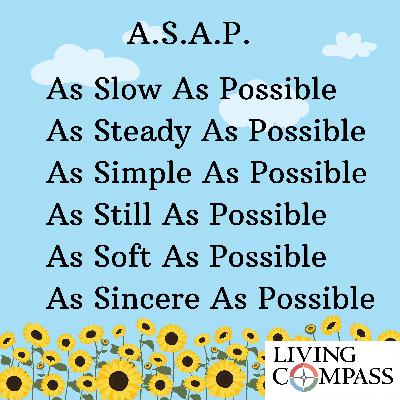 "Learning to Live and Drive ASAP, As Slow As Possible," May 27 2025