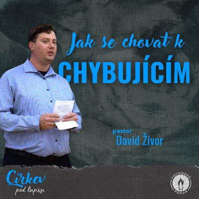 Jak se chovat k chybujícím?