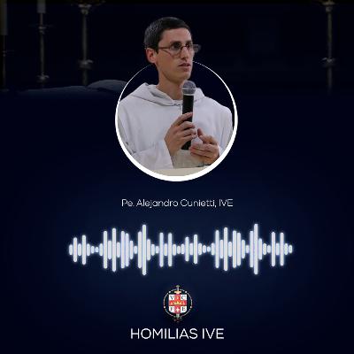 "São João Paulo II e sua devoção a Maria"