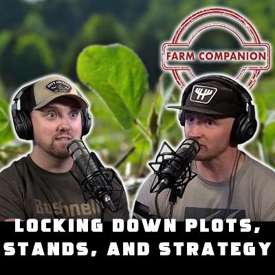 Locking Down Plots, Stands & Strategy | Farm Companion