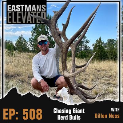 Episode 508: Chasing Giant Herd Bulls with Dillon Ness