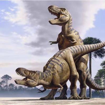 Expertos en dinonegacionismo Expertos en dinonegacionismo