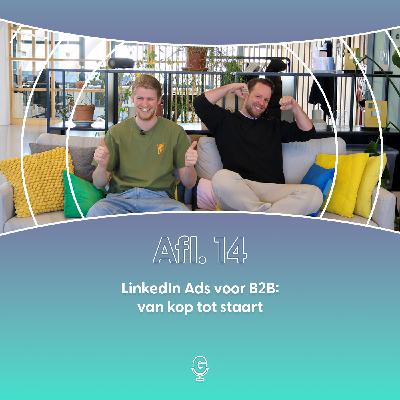 Afl 14: LinkedIn Ads voor B2B: van kop tot staart
