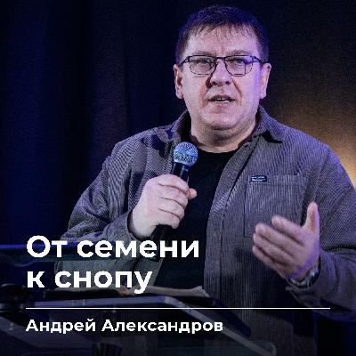 От семени к снопу | Андрей Александров | 16.01.26