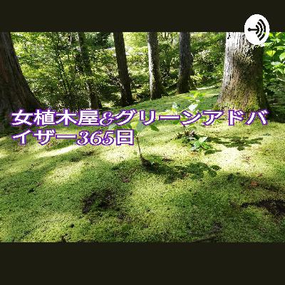梅雨時の植木屋さんのお仕事について