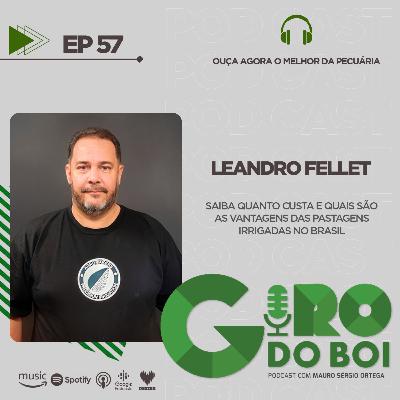 Saiba quanto custa e quais são as vantagens das pastagens irrigadas no Brasil