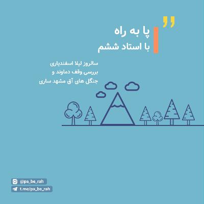 با استاد ششم