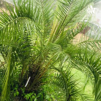 I’m no place holder I’m no place holder