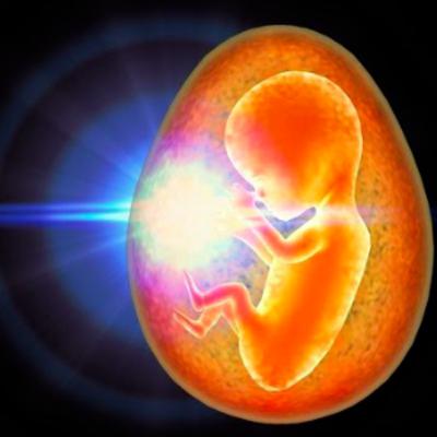 Sanación al Vientre Materno Sanación al Vientre Materno