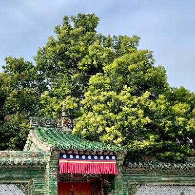 【今日漫谈3】惊喜往往是计划之外的，要永远自信又自谦