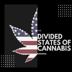 Podcast Trailer - Divided States of Cannabis