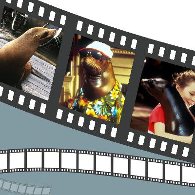 Andre - A Seal Good Time (Starring a Sea Lion)