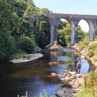 La mise à jour hebdo de la pêche à la ligne Irlandaise, 22 Août 2025