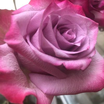 Theater in 2020 with Dillon Yruegas