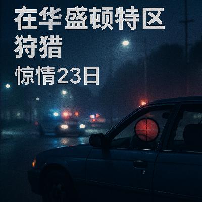 17.在华盛顿特区狩猎：惊情23日