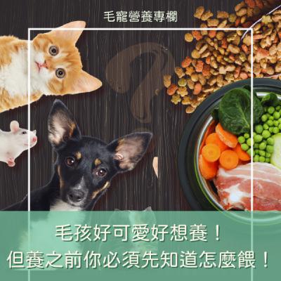 EP10 🎧 想養毛孩？先學會怎麼餵！🐶🐱 新手飲食指南