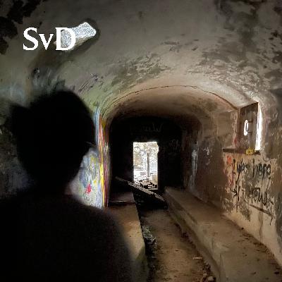 Stockholms spökstäder gläntar till det förbjudna