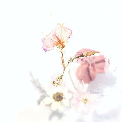 273.【邱毅热评】佩洛西取消访台行程，政治染疫或真染疫了？