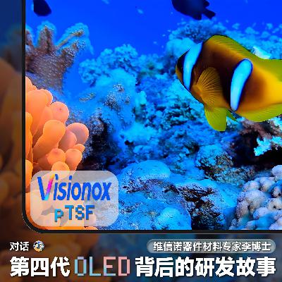 Vol84.第四代 OLED 材料背后的研发故事，对话维信诺器件材料专家李博士