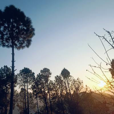मौन यात्रा