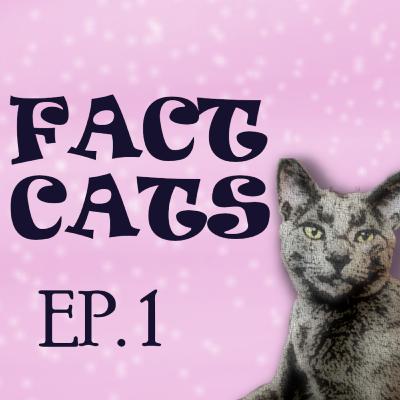 Episode 1 Fact Cats Pub Quiz