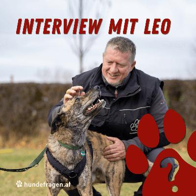 Über die Gründung der Hundeschule hundefragen | INTERVIEW mit Leo