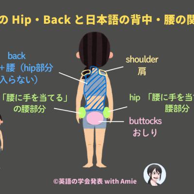 【第162回】「back」は「背中」じゃない!「hip」は「おしり」でも「股関節」でもない! 【第162回】「back」は「背中」じゃない!「hip」は「おしり」でも「股関節」でもない!