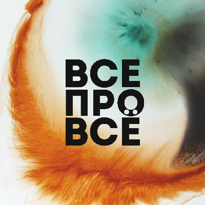 Разговор с вебкам-моделью. Что это за сфера и как она функционирует Разговор с вебкам-моделью. Что это за сфера и как она функционирует