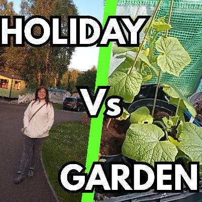 4. Holiday Vs Garden - How to make sure your plants survive your vacation!