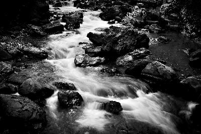 FPC463 - Interview mit Dr. Micha Pawlitzki und einigen TeilnehmerInnen seiner Masterclass