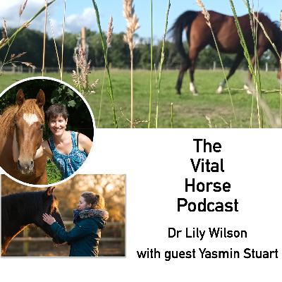Expectations of our horses with Yasmin Stuart Expectations of our horses with Yasmin Stuart