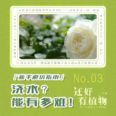 Vol.03新手避坑指南:浇水?能有多难! Vol.03新手避坑指南:浇水?能有多难!