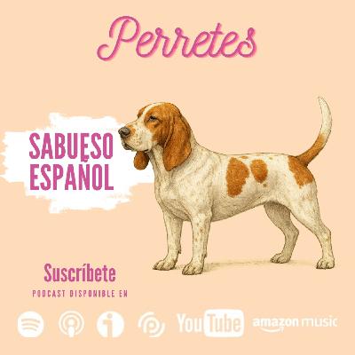 Ep92: Sabueso Español.