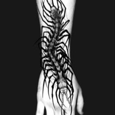 Descubra o Fascinante Simbolismo por Trás das Tatuagens de Centopeia: Desvende a Magia Misteriosa deste Inseto Intrigante
