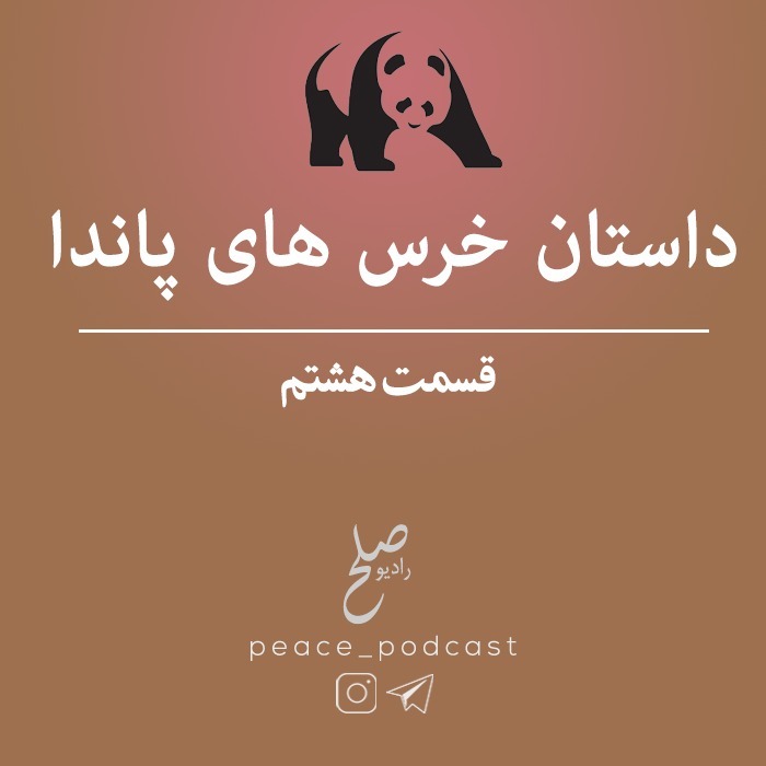 خرس های پاندا - اپیزود 8 - شب هفتم