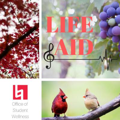 What is Nature Connection? (ft. Marlene) What is Nature Connection? (ft. Marlene)