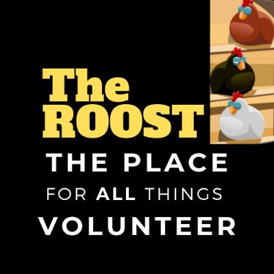 Special Edition: First in the Nation | NH's Volunteer Team Captains Tell All