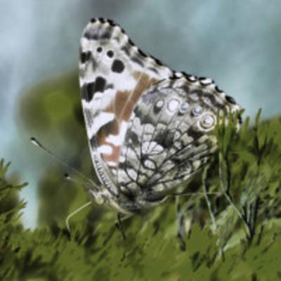 Butterflies in the Garden: Episode 1 Danger Above by Vivian Munnoch Butterflies in the Garden: Episode 1 Danger Above by Vivian Munnoch